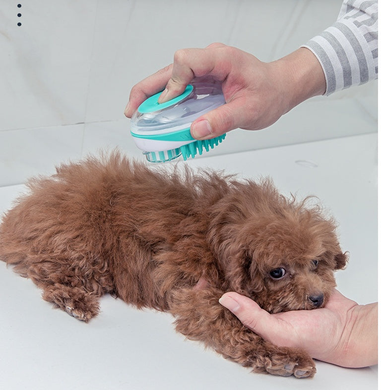 Multi-Functional Plastic Brush for Pets