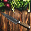 Kegani Chef Knife - 8 Inch Japanese Knife, 67 Layers Japanese VG-10 Damascus Steel Ultra Sharp Kitchen Knife, Professional Chef Knife Gyuto Knife- Ergonomic FullTang Handle