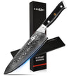 Kegani Chef Knife, 8 Inch Damascus Chefs Knife-Japanese VG10 Super Steel Hammered - G10 Handle Kitchen Knife - Classic Series