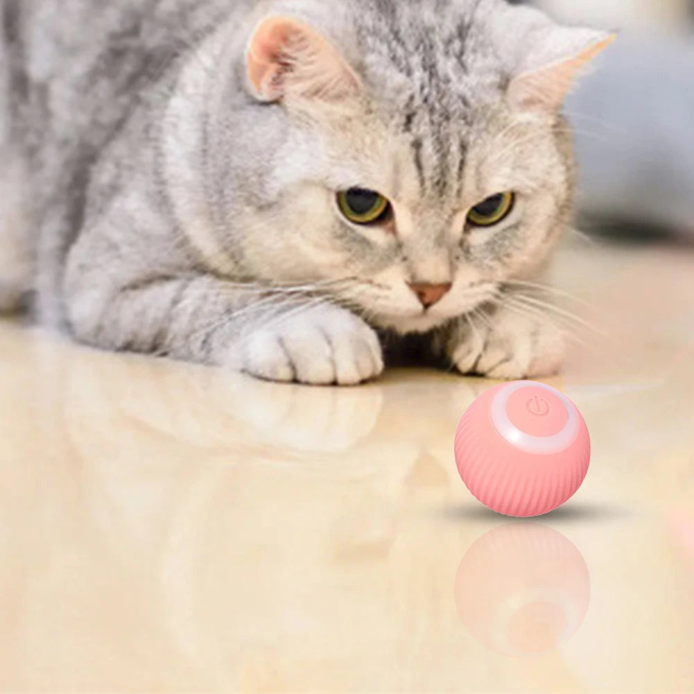 USB Rechargeable Interactive Cat Toy Ball