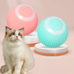 USB Rechargeable Interactive Cat Toy Ball