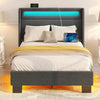 Twin Size Bed Frame with LED Features