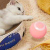 USB Rechargeable Interactive Cat Toy Ball