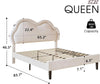 Queen Bed with Adjustable Headboard & RGB LED Lights