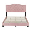 Modern  Velvet Platform Bed with Rivet Accents and Storage Space