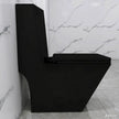 Glossy Black Modern Square Toilet with Dual Flush