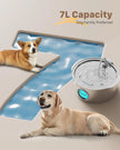 Dog Water Fountain for Large Dogs