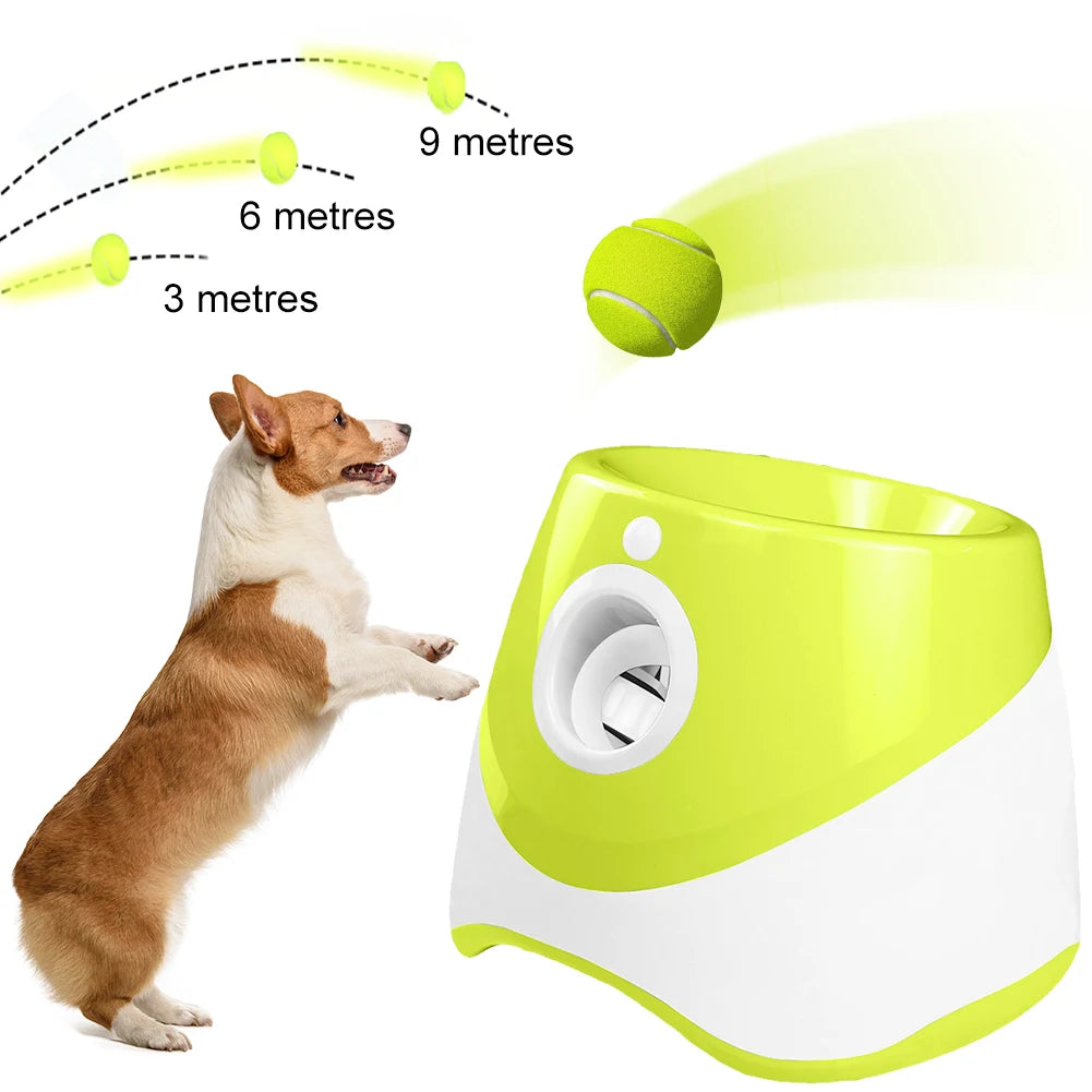 Automatic Dog Ball Launcher