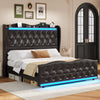 Queen Bed Frame with LED Headboard