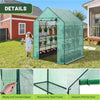 Mini Walk-In Greenhouse