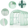 Large Walk-In Tunnel Greenhouse