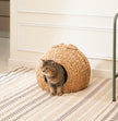 Weaving Rattan Circular Cat Bed